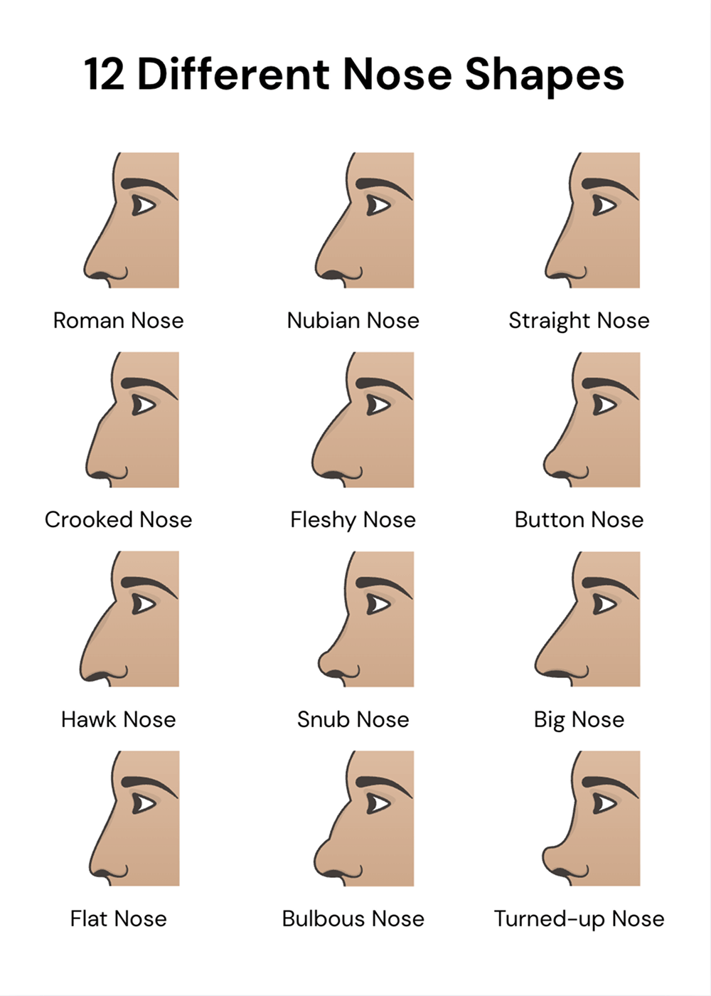 Makeup and hairstyles for your nose shape