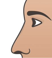 Roman (Aquiline) Nose